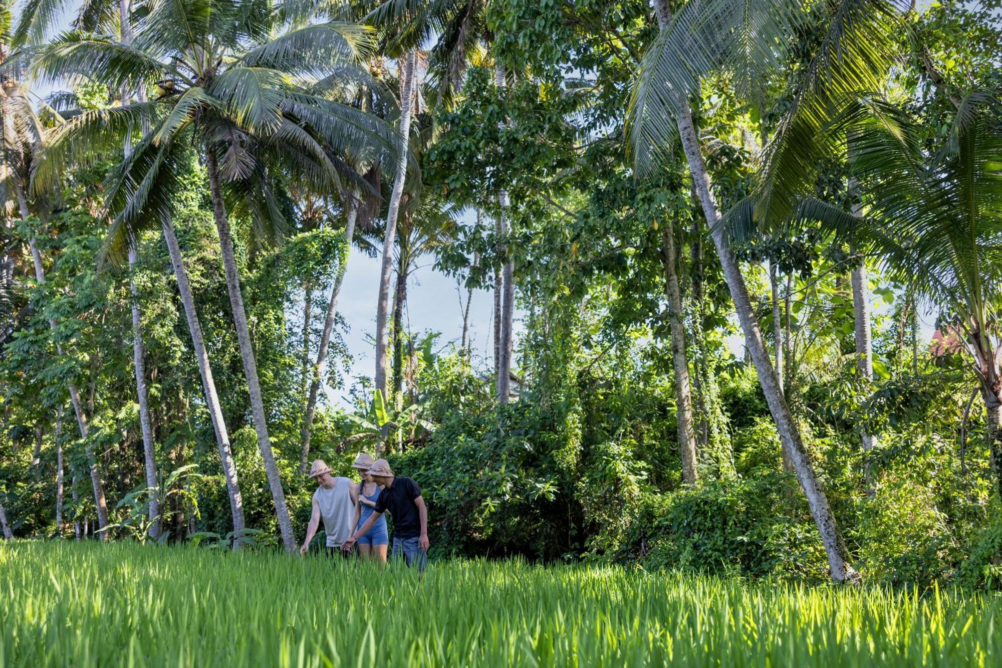 Kanhara Villas Ubud By Pramana Villas Luaran gambar